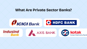 What Are Private Sector Banks? A Complete Guide with FAQs